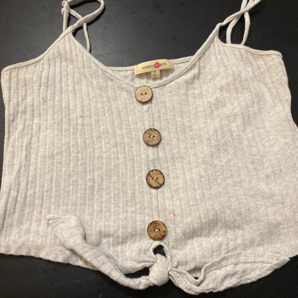 Wishful park grey cropped top size M